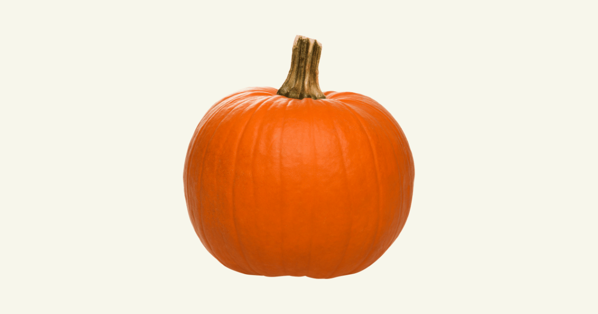 Courge　西洋カボチャ