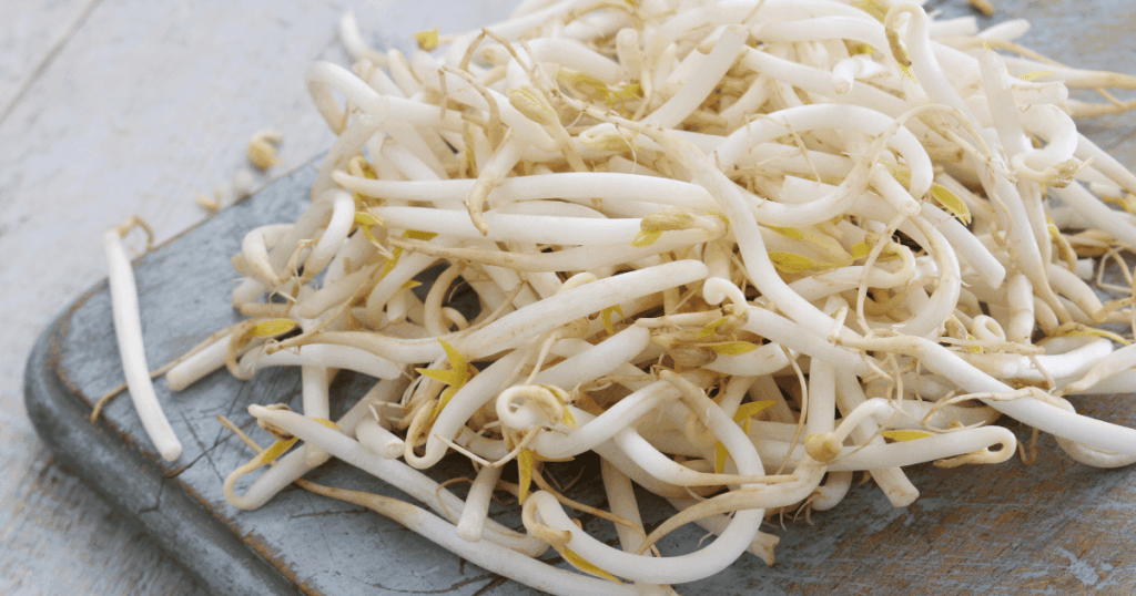 Pousses de haricot mungo　もやし