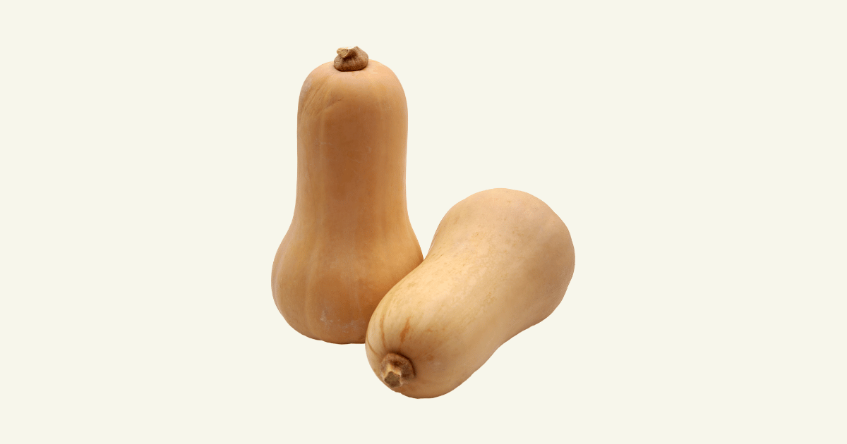 Citrouille　西洋カボチャ