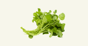 Cresson　クレソン