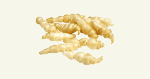 Crosne　チョロギ