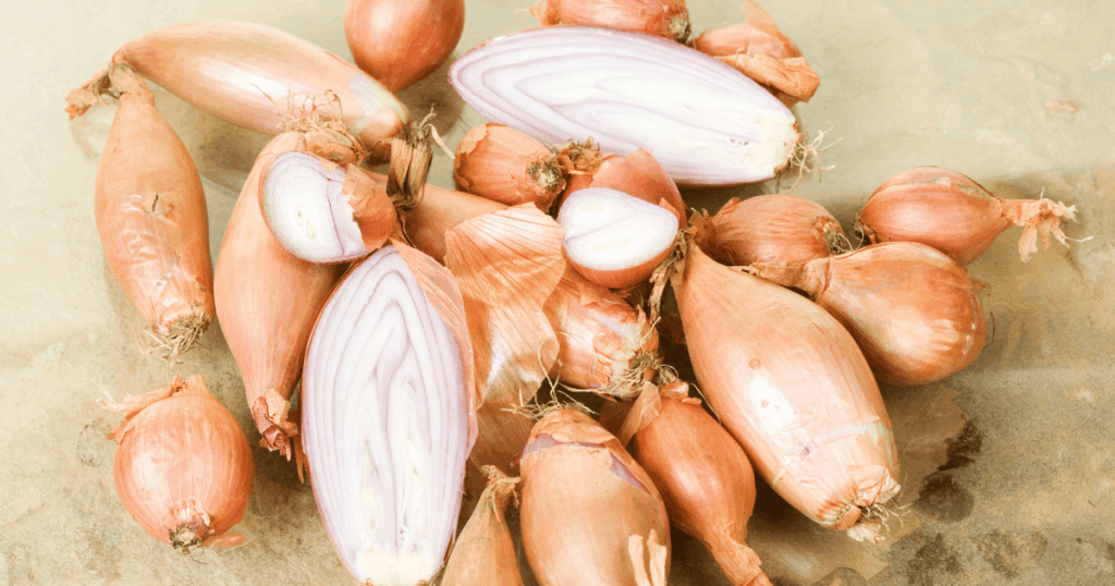 Echalote　エシャロット