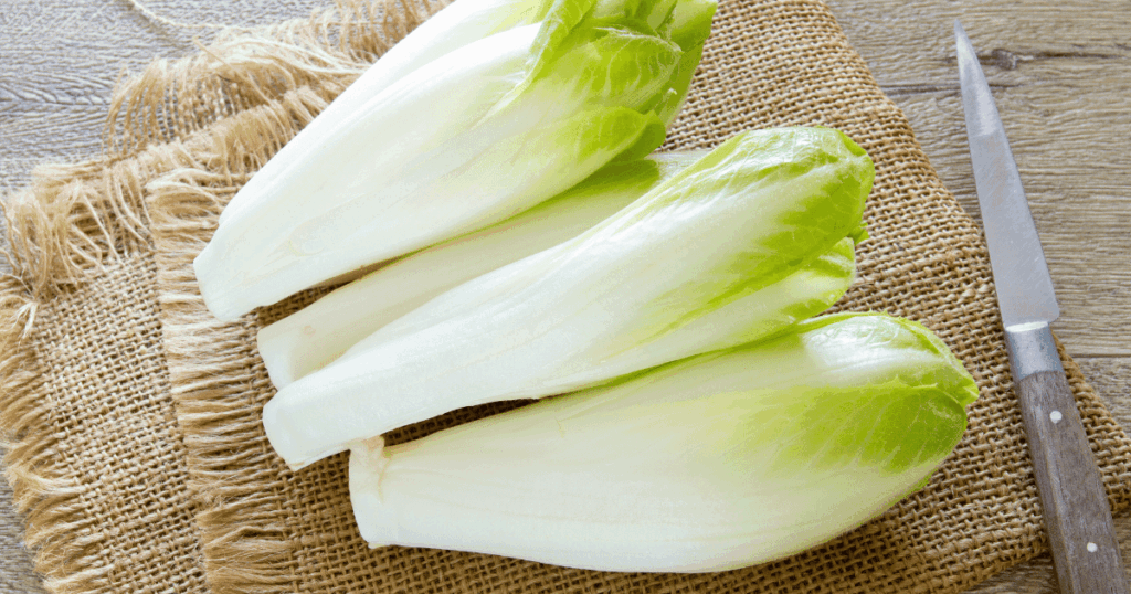 Endive　アンディーヴ